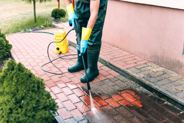 Animal Enclosure Cleaning in Bell Acres, PA